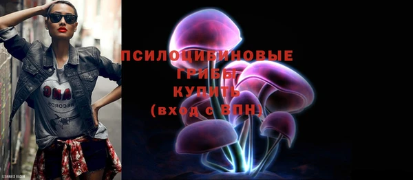 apvp Усинск