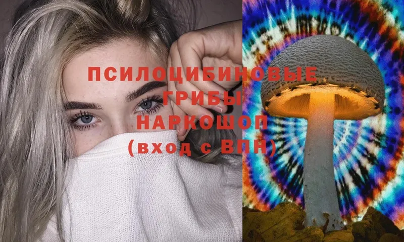 Галлюциногенные грибы Magic Shrooms  Алапаевск 