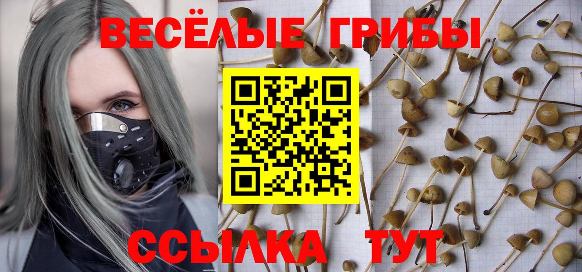 Псилоцибиновые грибы GOLDEN TEACHER  Псилоцибиновые грибы мухоморы  Алапаевск 