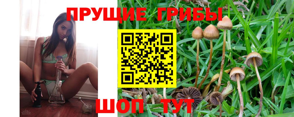 Галлюциногенные грибы Magic Shrooms  даркнет сайт  Алапаевск  Вход с VPN 