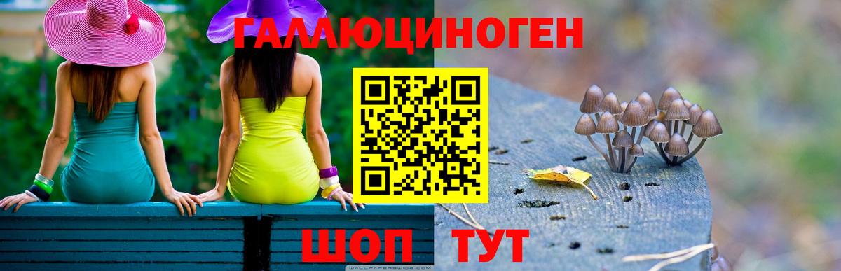 Псилоцибиновые грибы Psilocybine cubensis Алапаевск